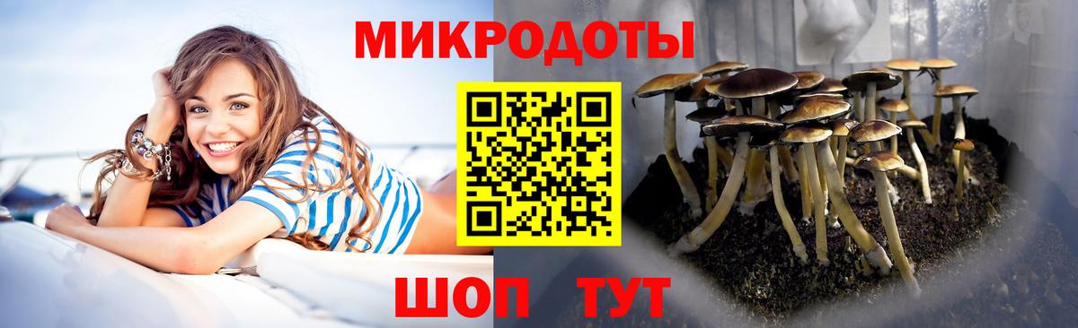 Псилоцибиновые грибы Psilocybe  Вход с VPN  Севастополь 