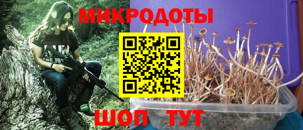 Псилоцибиновые грибы мицелий Севастополь